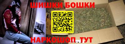 прущий лед Новозыбков
