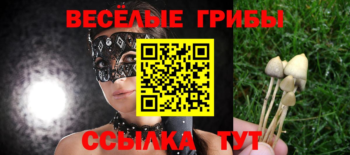 Псилоцибиновые грибы MAGIC MUSHROOMS  Вход с VPN  сколько стоит  Тверь  Псилоцибиновые грибы Magic Shrooms 